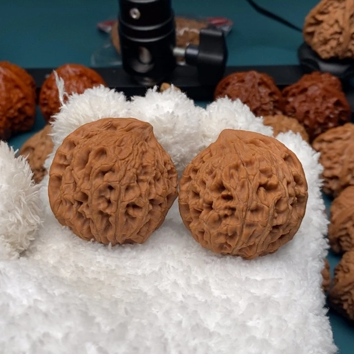 把件文玩核桃水龙纹异型