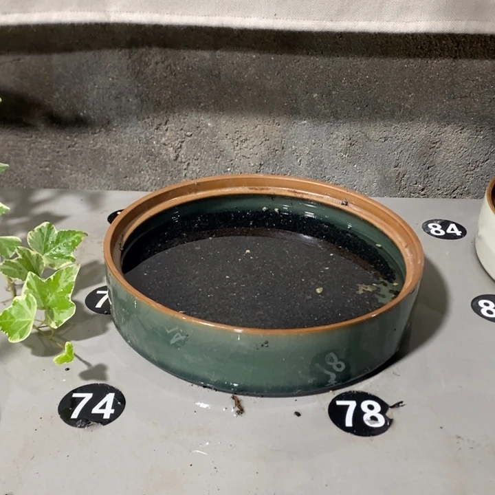 小***。完全开放一物一拍一物一拍91