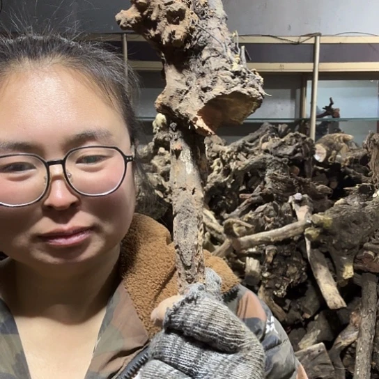 香榧木无***中火琉璃的毛料摆件