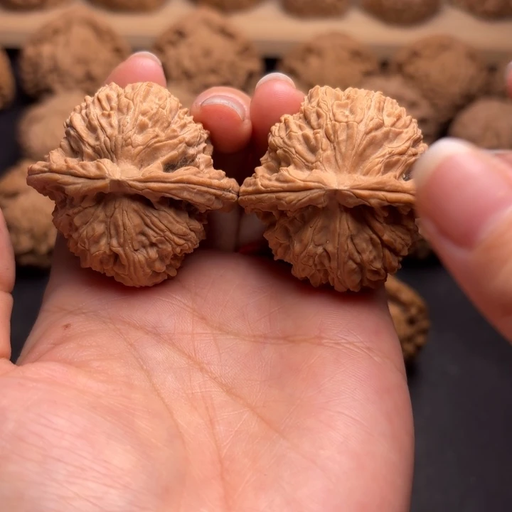 把件文玩核桃41白狮子