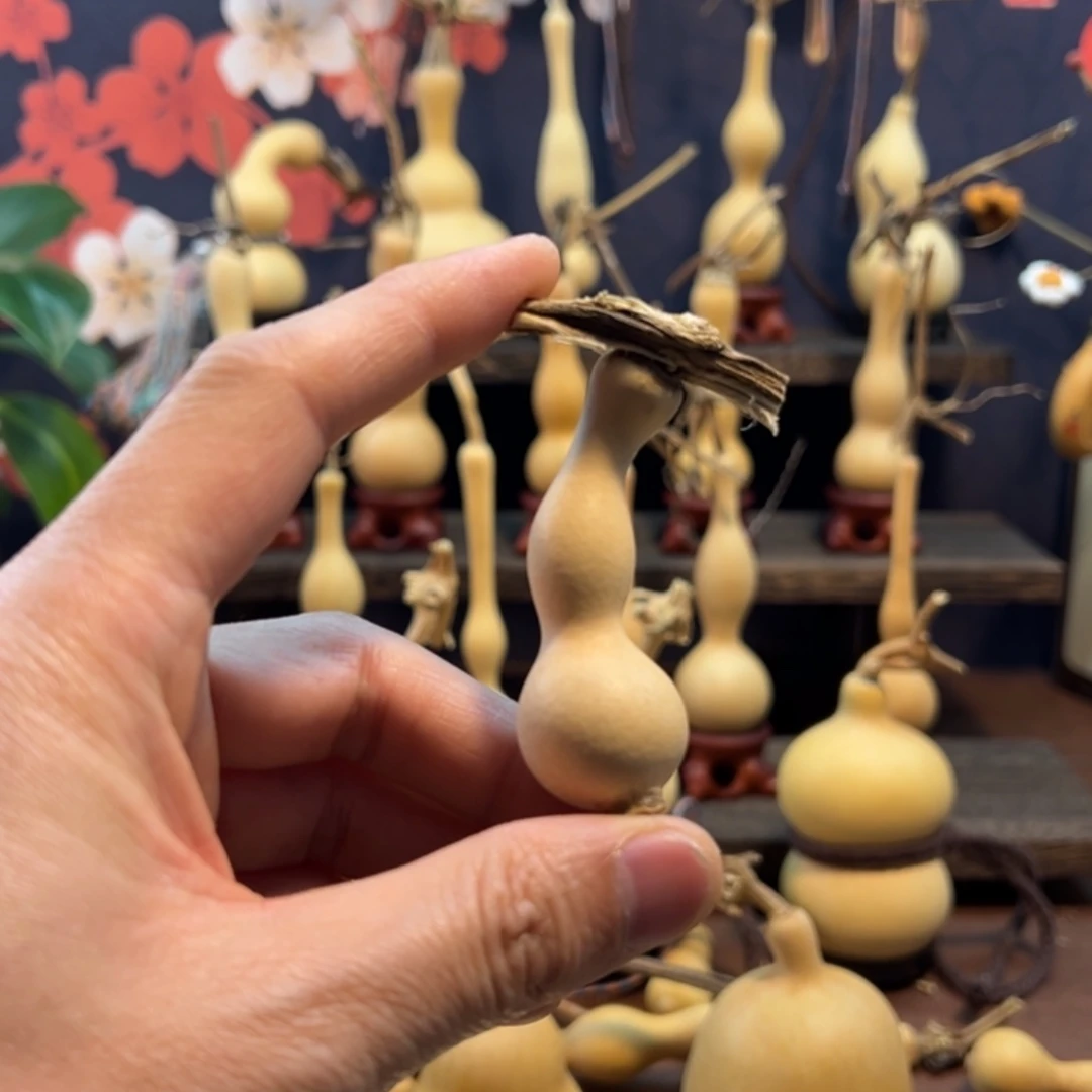 一***缘11111111111111111