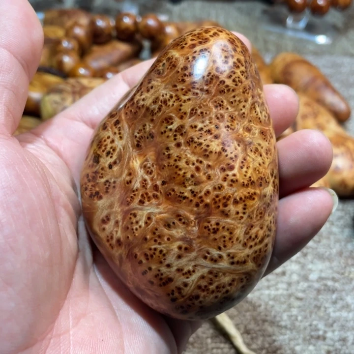 其他柏木（崖柏）把