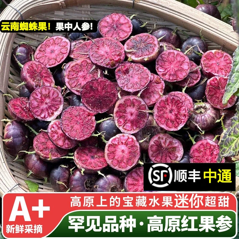 【顺丰可选】正宗云南红果参新鲜现摘大果当季水果蜘蛛果整箱批发