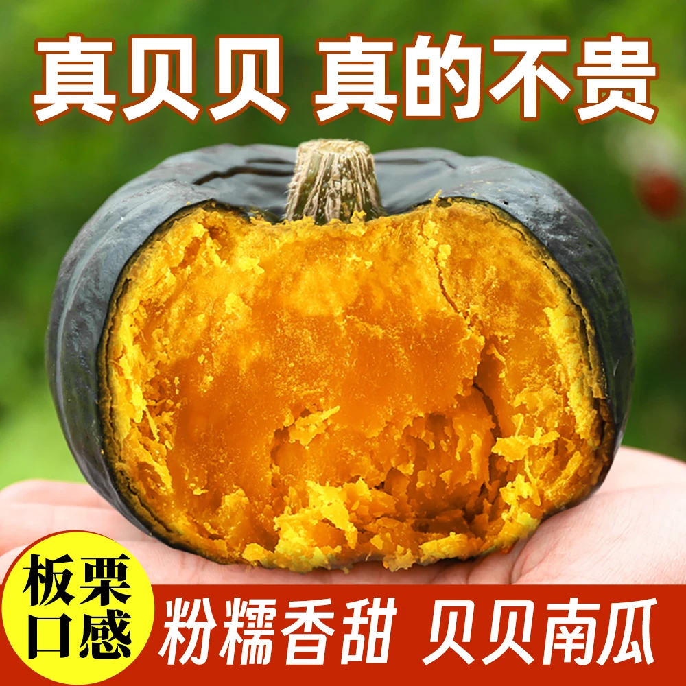 贝贝南瓜粉糯香甜板栗味新鲜蔬菜宝宝杂粮辅食甜糯小南瓜4.5斤