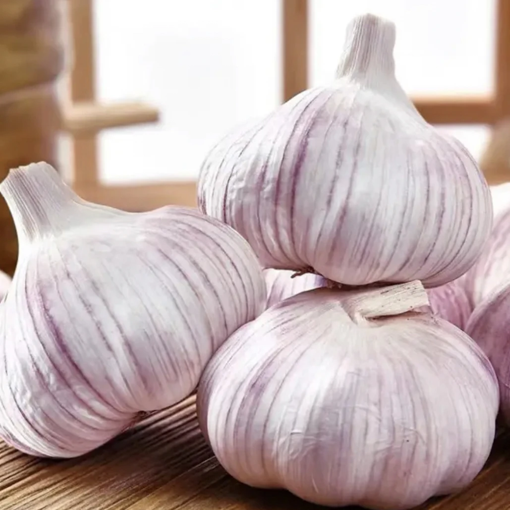2025年新鲜自然晾晒干农家干蒜大蒜紫皮大蒜去皮蒜