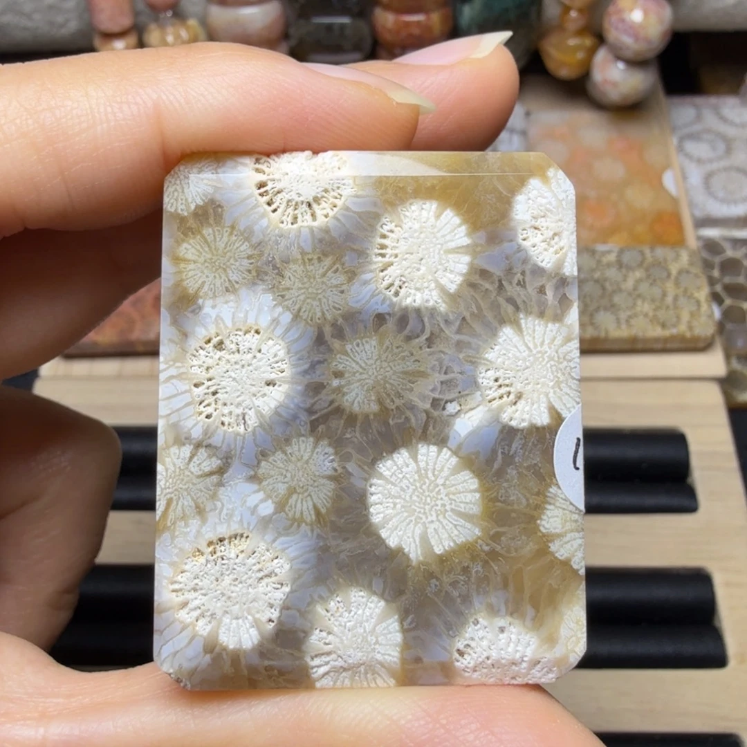 硅化玉未镶嵌酷酷的骨骼皮花