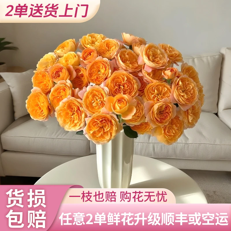 【源头优选】果汁阳台多头玫瑰-任意2单鲜花包邮 云南鲜花