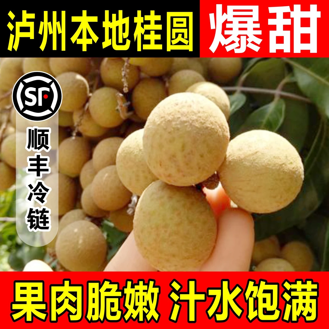 【泸州桂圆本地土桂圆】顺丰纸箱老树桂圆新鲜采摘龙眼10斤桂圆味足