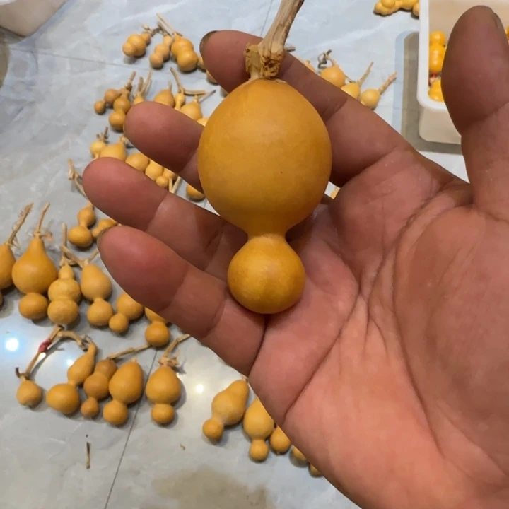 盖*哈哈哈哈哈哈哈哈哈哈哈哈哈