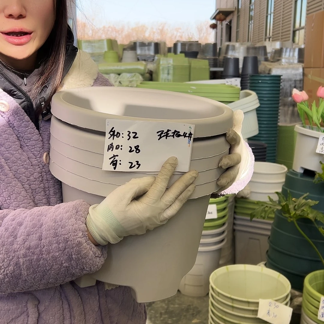 球根盆4#灰白5个无托