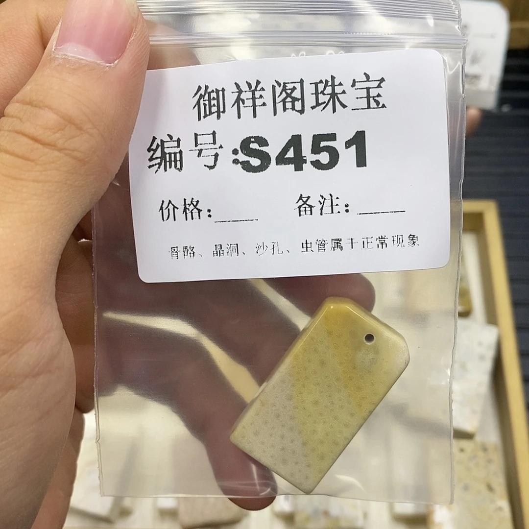 硅化珊瑚（珊瑚玉）未镶嵌颈饰绿****驴