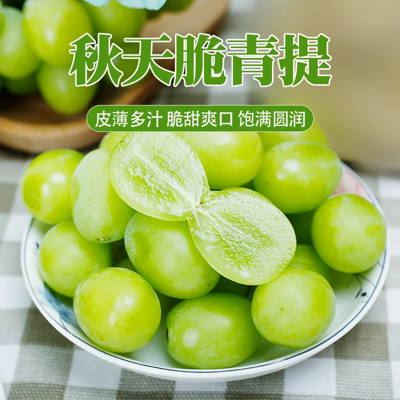 【坏果包赔】3J秋天脆青提净重3斤