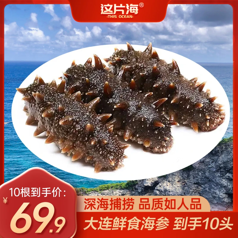 小妹儿海参 正宗大连辽刺参 到手10根 送参鲍汁