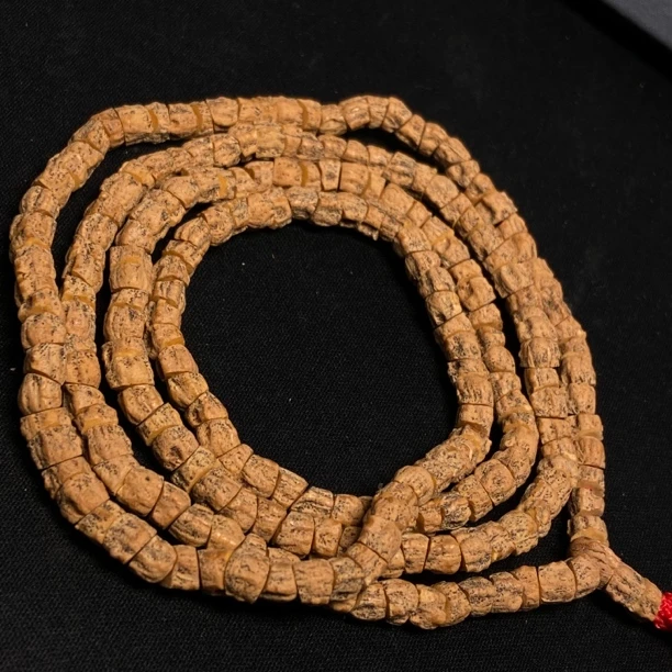 百香籽热振红皮斜切大肠“赤血蛟龙”6+mm108长串