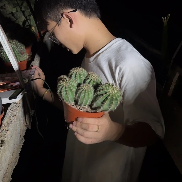 橙***肉哈哈哈哈哈哈哈哈哈哈哈