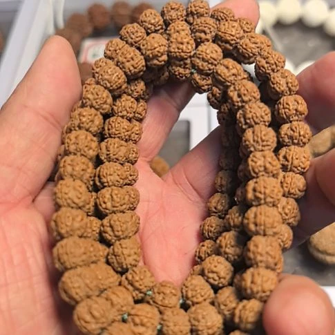 吊坠金刚菩提五星梅花小金刚脖挂，下水精挑，规整度高，原皮原色