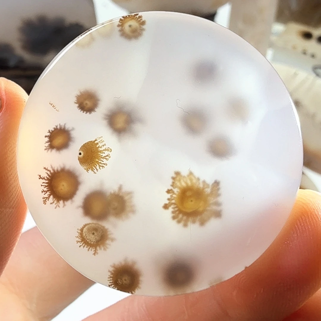 玛瑙/玉髓未镶嵌珠宝半成品