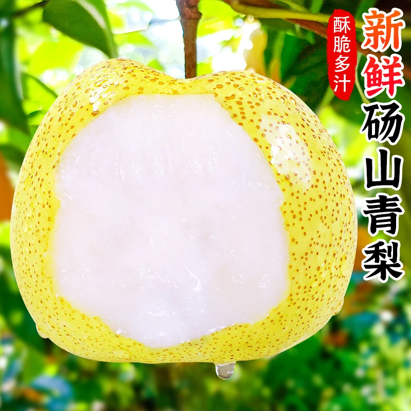 【香甜多汁】砀山青梨3-9斤正宗砀山梨子黄皮蜜梨雪梨酥梨新鲜水果