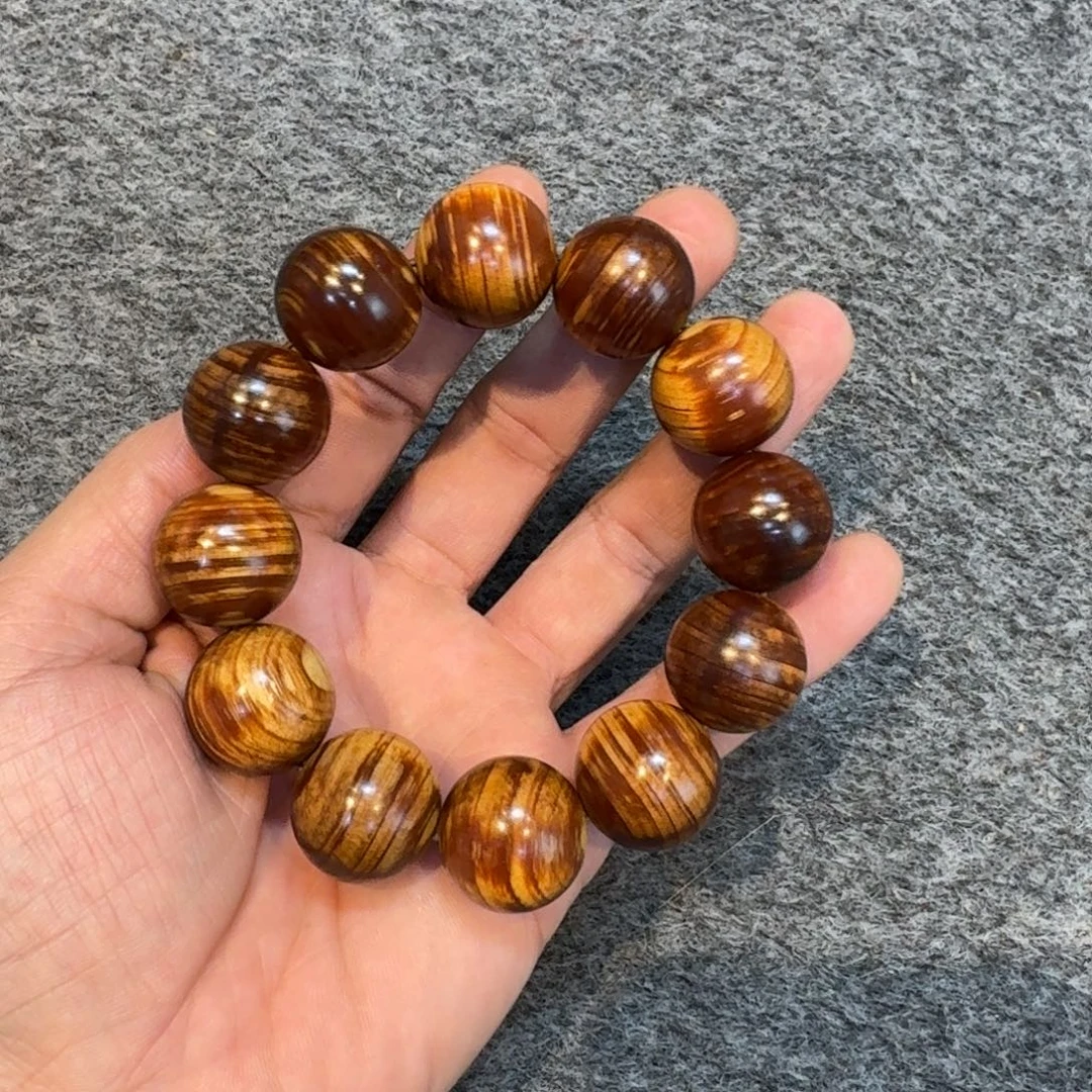 柏木（崖柏）崖柏111111111