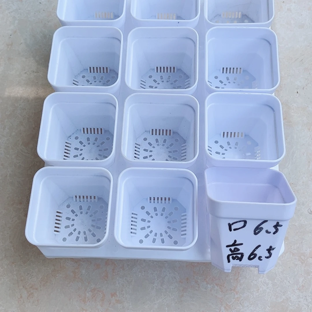 塑料加厚矮胖6.5白方盆24个带2拖架