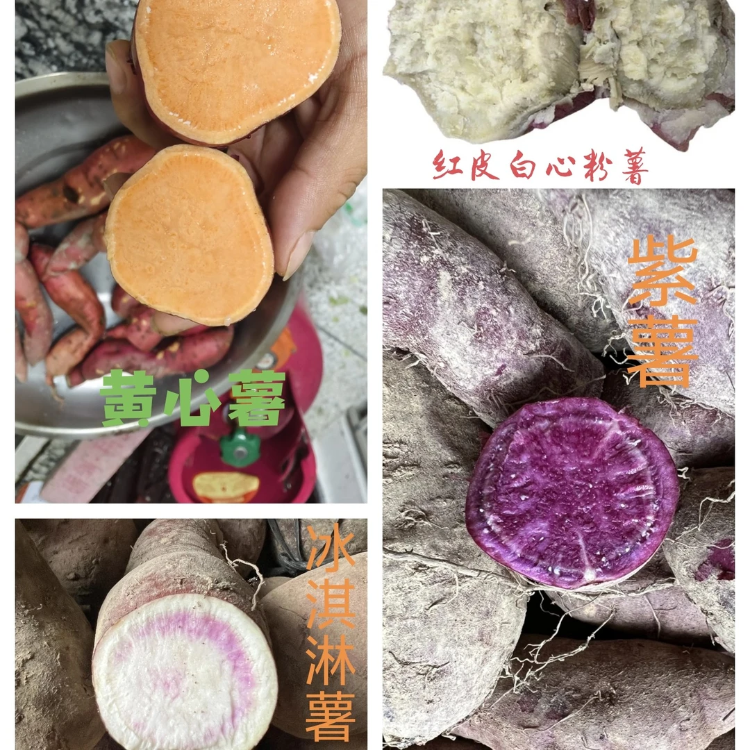 <助农专属>贵州从江高山红薯冰淇淋薯花心薯紫薯新鲜现挖粉薯