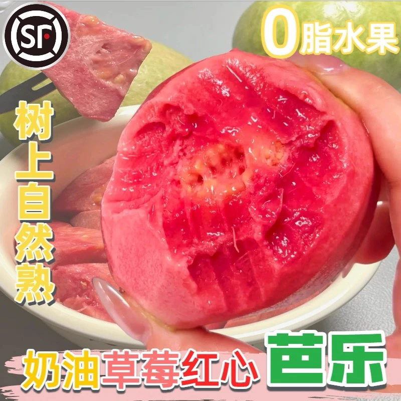 福建软糯红白心土芭乐孕妇低糖胭脂红软籽番石榴水果新鲜顺丰包邮