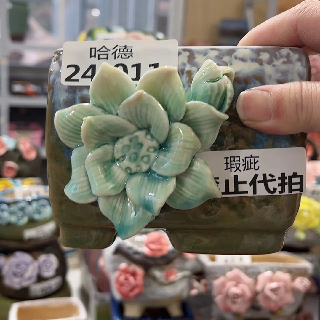 【闪购商品】红陶瑕疵2411