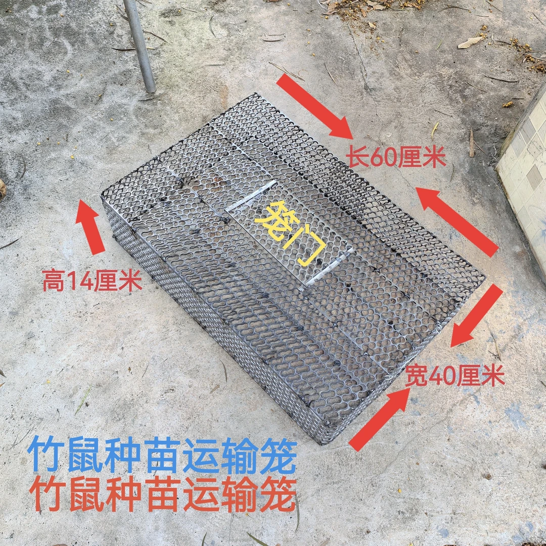 竹鼠种苗运输笼  铁笼 苗笼 网笼