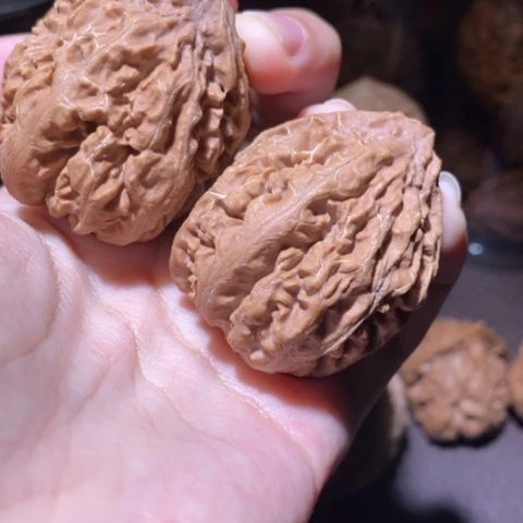 把件文玩核桃东北野生楸子小园 103