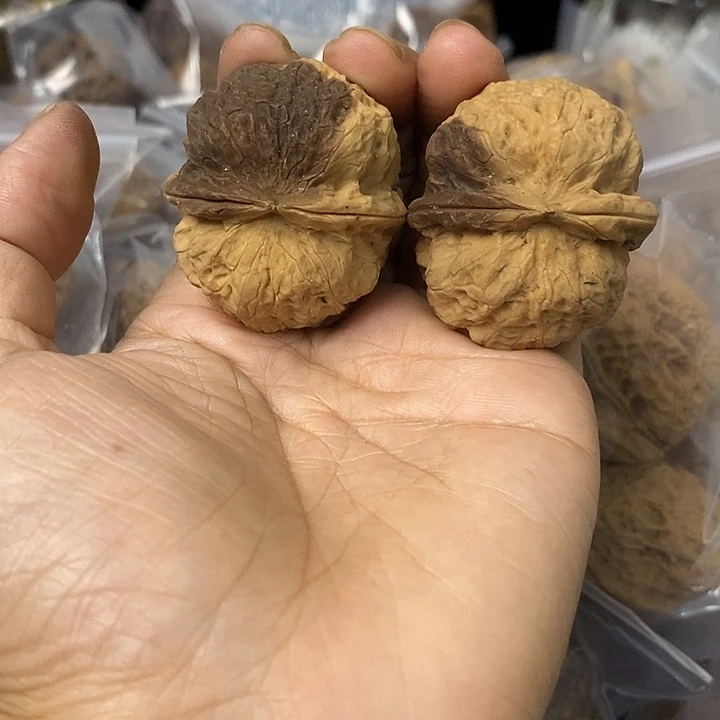 核桃云南铁核桃基地39