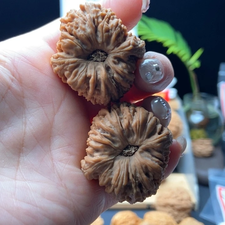 核桃手串/手链最***肉60号子弹头凹底老核