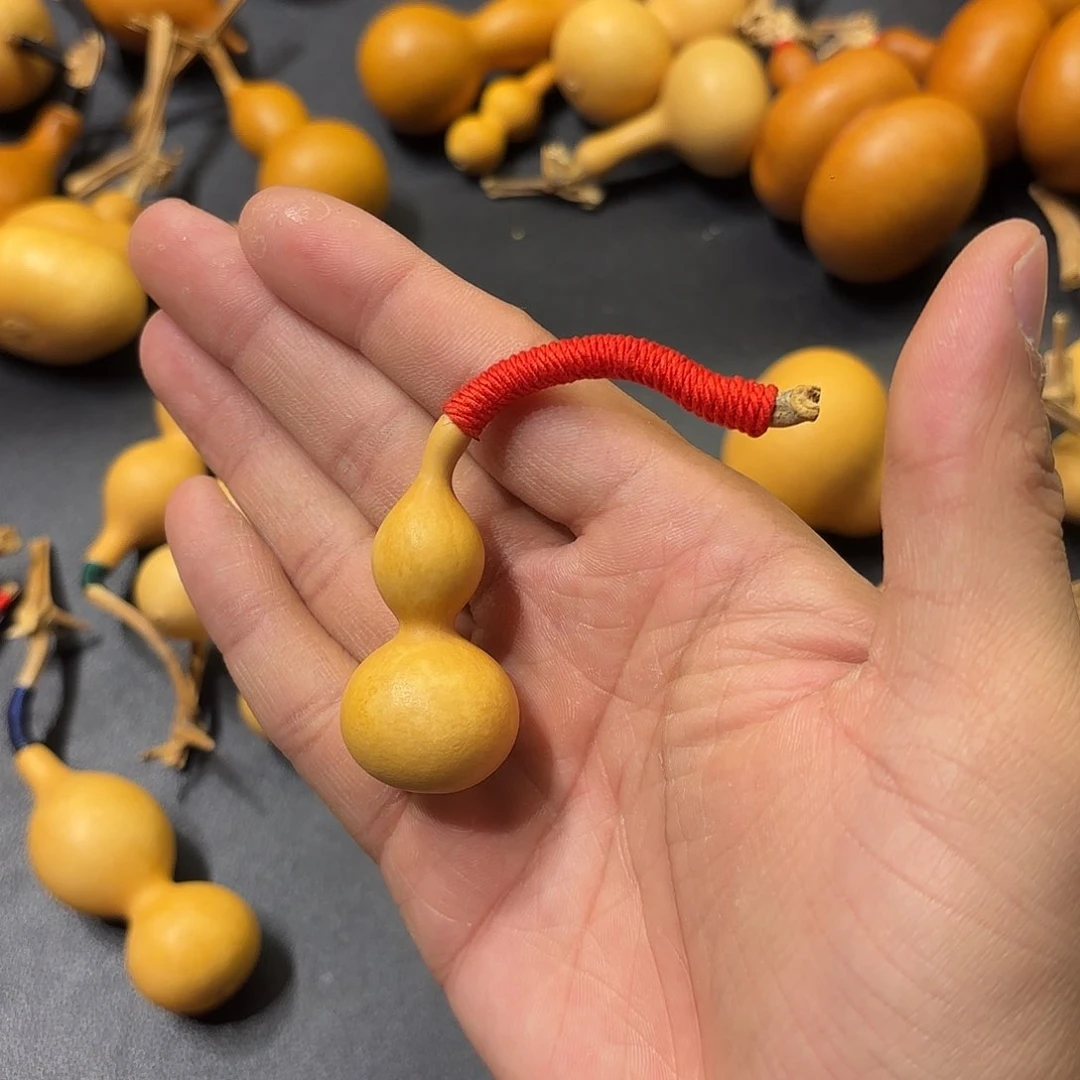 海**鱼葫芦1111111111