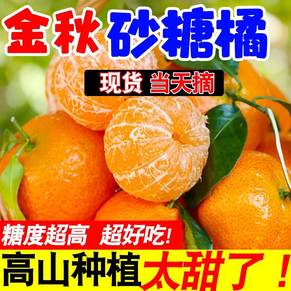 正宗广西桂林金秋砂糖橘新鲜现摘现发皮薄小橘子当季水果