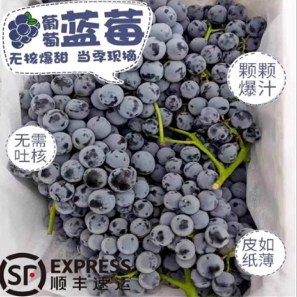 【顺丰包邮】新疆蓝莓葡萄吐鲁番无籽葡萄轻微掉粒不会售后新疆维吾尔自治区