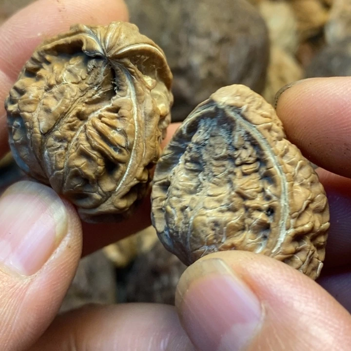 吊坠文玩核桃娜姐38