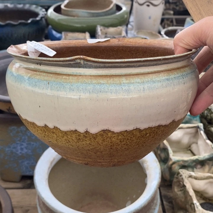 137号多肉盆口径18