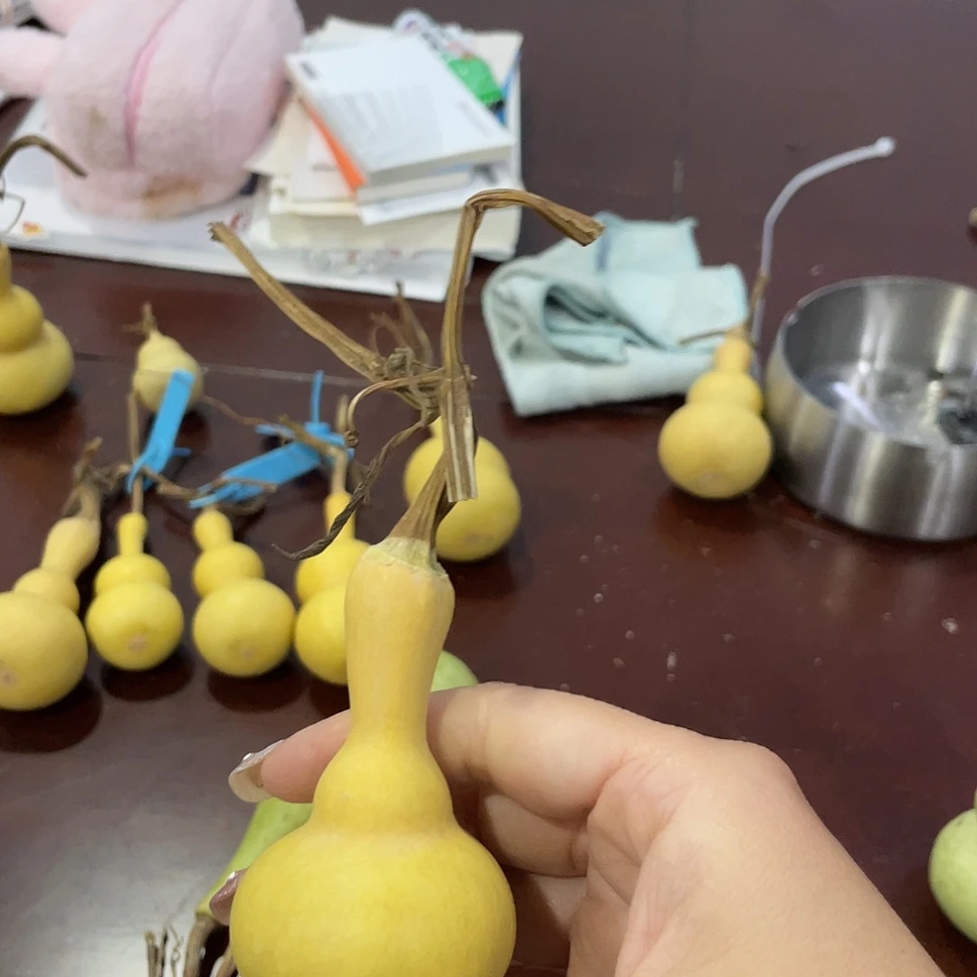 通途爷爷下雨天我爷爷爷爷