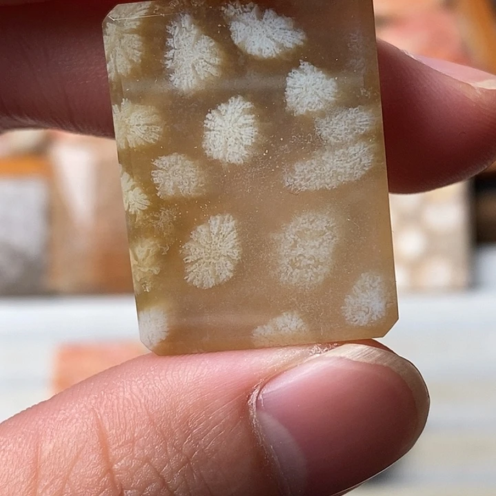 l***1硅化玉未镶嵌吊坠