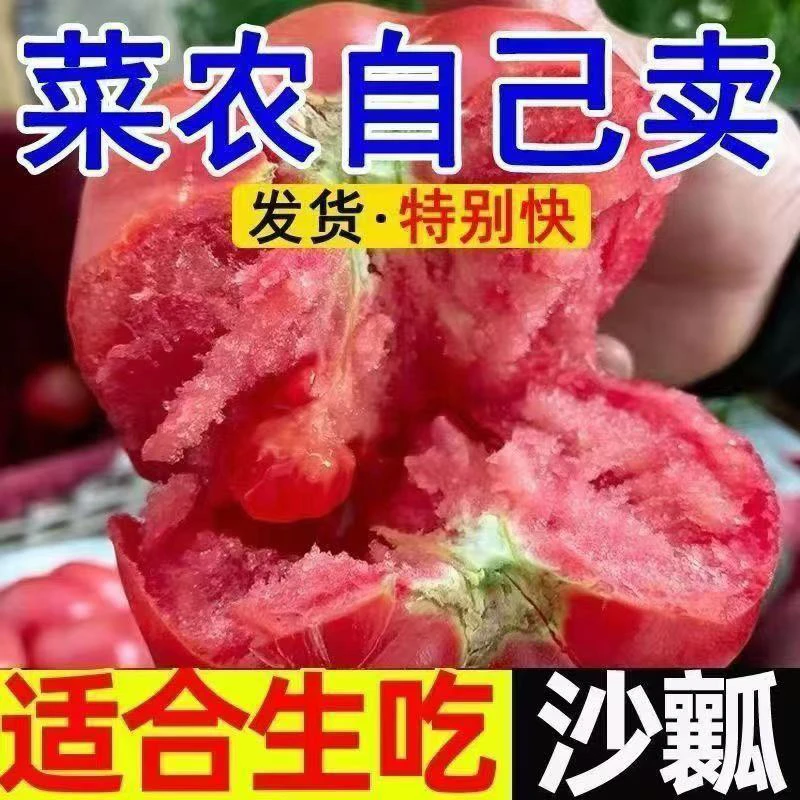 【京东快递】攀枝花沙瓤西红柿新鲜番茄露天番茄坏果包赔5斤净重