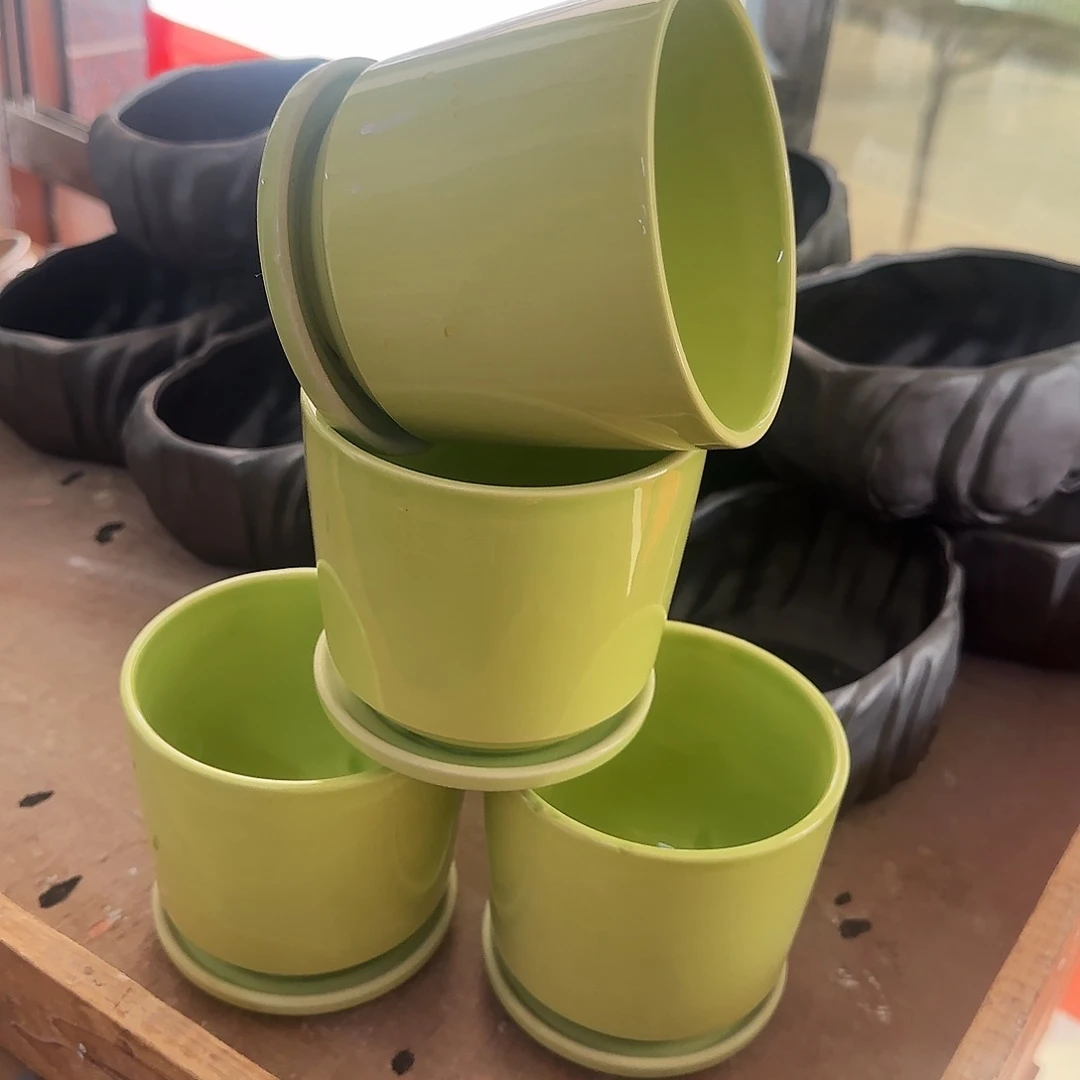 4个特价盆·天姿添香·福利局·凑9元发·