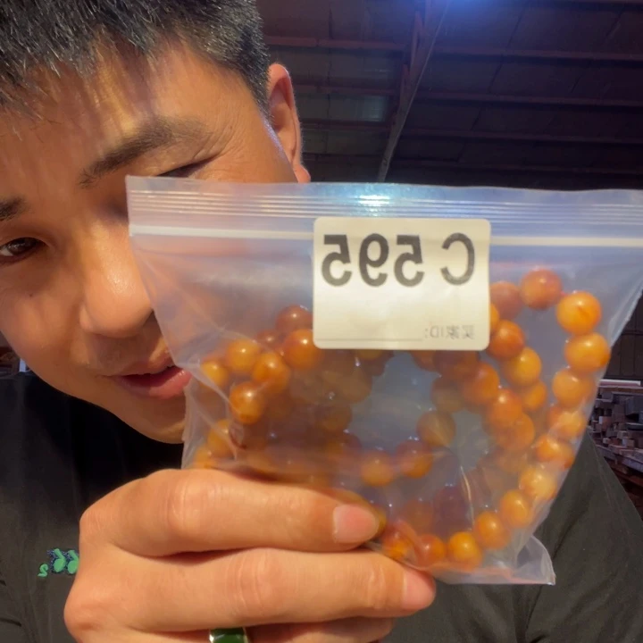 大叶紫檀（黑酸枝木类）595