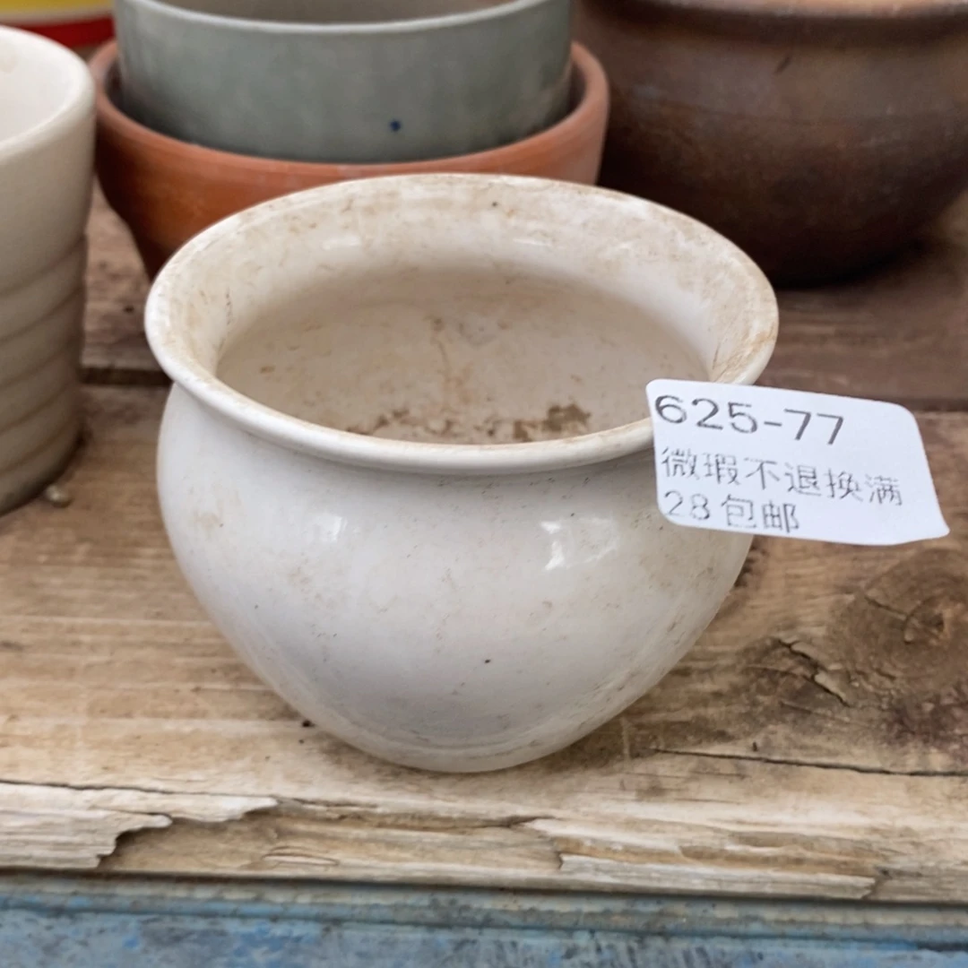 77号多肉盆口径6小可爱