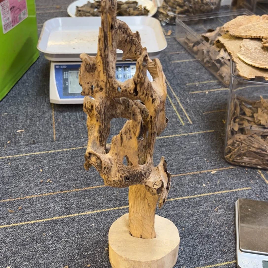 沉香碎屑沉香天然野沉香虫漏90克