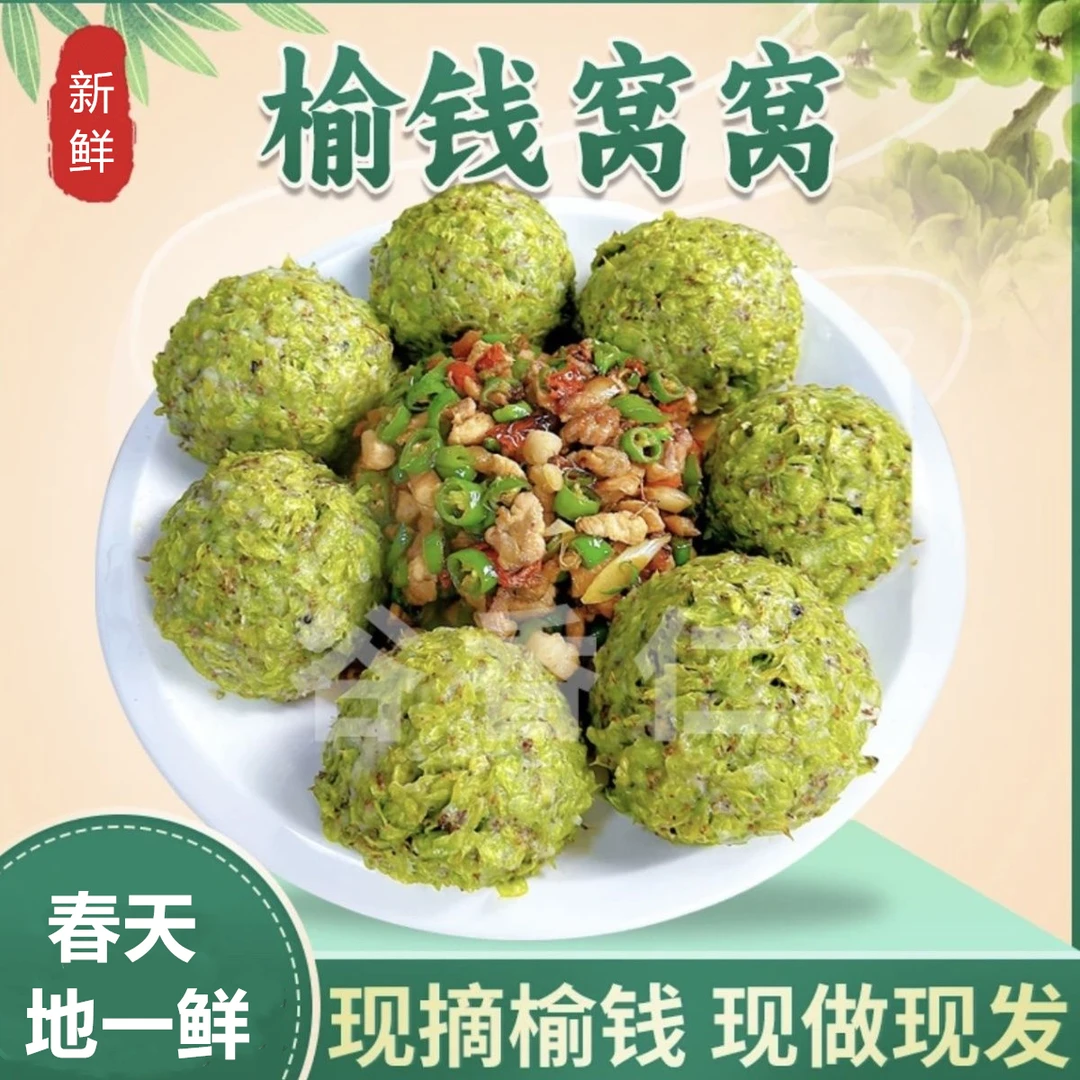 槐花窝窝榆钱窝窝头榆钱新鲜2025当季榆钱子树叶馒头槐花