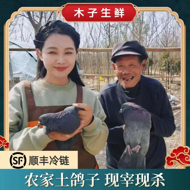 【土鸽6只】净重3.1斤-3.5斤农村散养现杀鸽子肉  含心肝胗