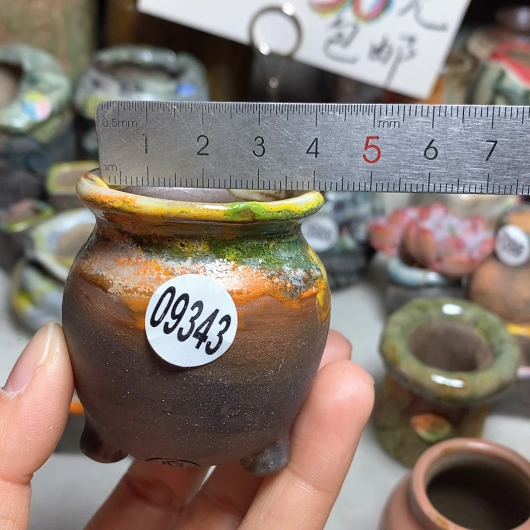 花盆拍5送一个小礼物