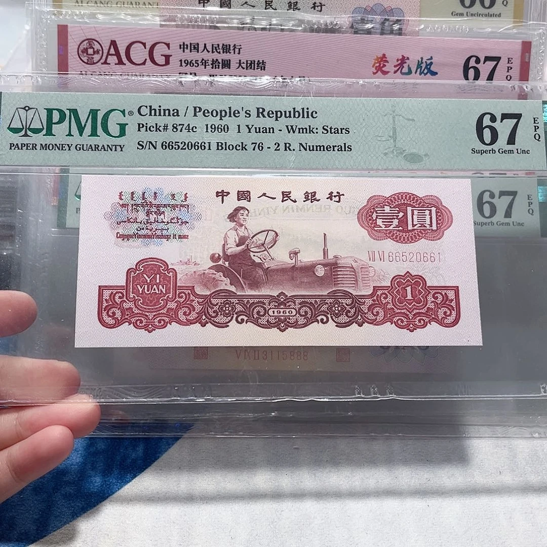 66520661。。。小桃红幸运树