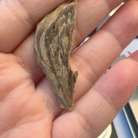 沉香摆件海南虎斑棋0.9克