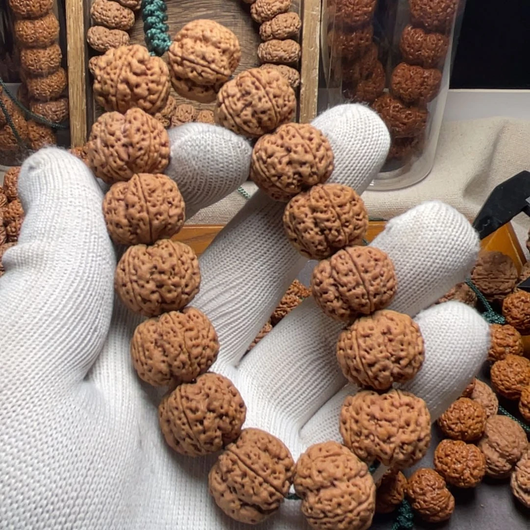 金刚菩提手串速**登梁产区蜂窝梅花双龙头货21尺