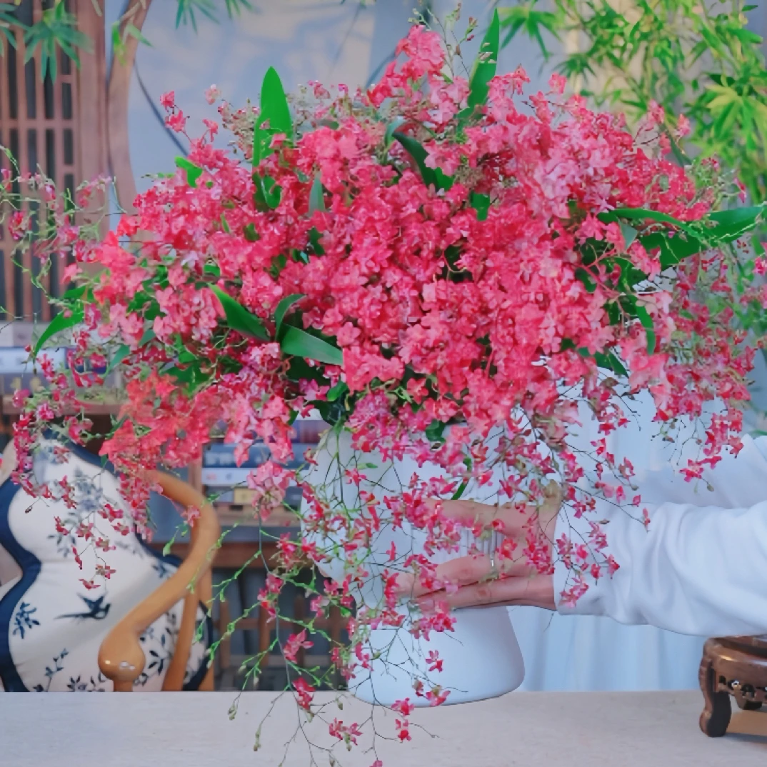 ［京东快递］10-15支花剑 红色梦香兰130杯带蘑菇盆浓香型文心兰